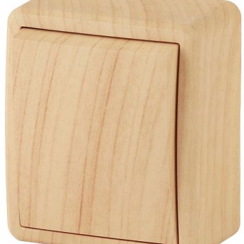 Выключатель Эра Эксперт 1кл сосна (16)