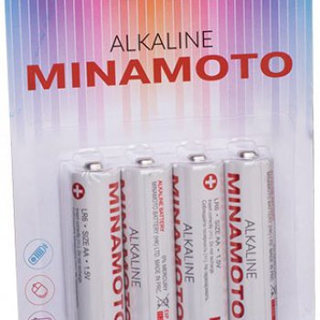 Батарейка LR 6 Minamoto 4xBL (48/576)