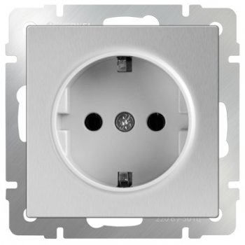 Механизм розетки Werkel 1-ая с заземлением серебро (10)