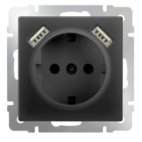 Механизм розетки Werkel 1-ая с заземлением шторки USBx2 чёрный матовый (10)