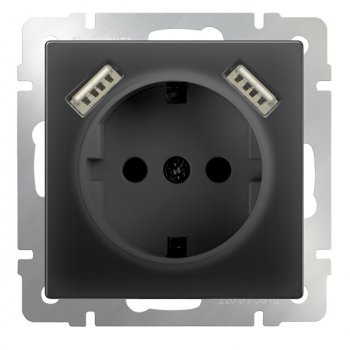 Механизм розетки Werkel 1-ая с заземлением шторки USBx2 чёрный матовый (10)