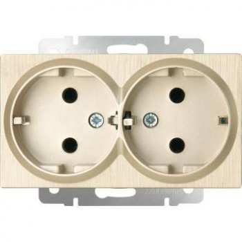 Механизм розетки Werkel 2-ая с заземлением шампань рифленый (10)