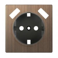 Накладка Werkel 1-ая+USBx2 с заземлением бронза (14)