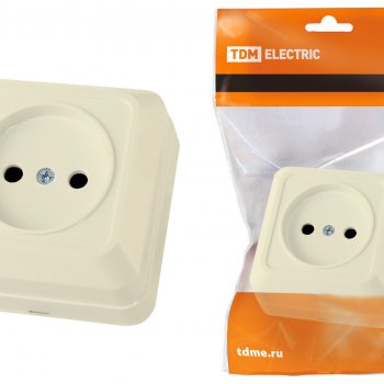 Розетка TDM Ладога 1-ая слоновая кость б/з (10/200)