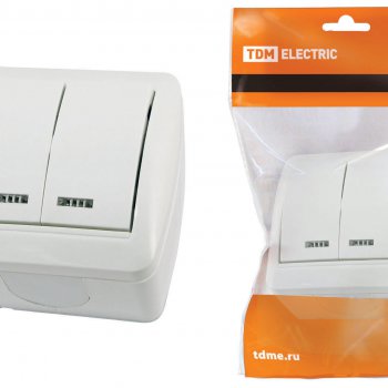 Bыкл. Селигер 2кл. подсветка IP44 TDM (10)