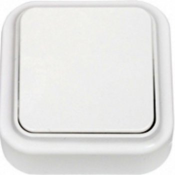 Выключатель Пралеска 1кл. белый (90)