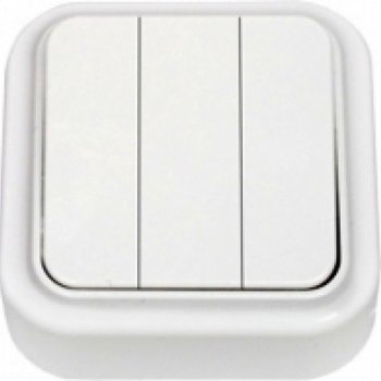 Выключатель Пралеска 3кл. белый (90)