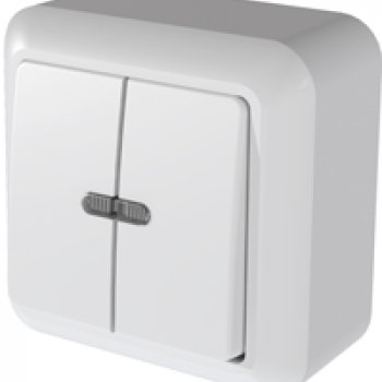 Выключатель Оптима 2ОП подсветка 10А (80)