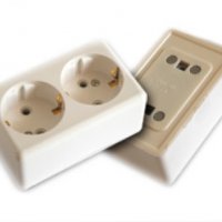 Розетка 2-ОП Орша с/з (с монтаж. панелью) (60)