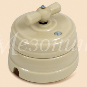 Выключатель Мезонинъ слоновая кость 10А (6)