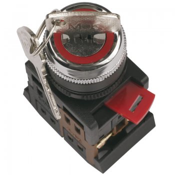 Переключатель IEK AKS-22 I-O 1з+1р ключ (10)