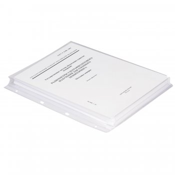 Файл А4 180мкм 243х307мм объемный перфорированный до 250 листов ПВХ (ДПС) (1/25)