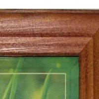 Рамка дерево 18x24 1702 темный орех Зебра (25)