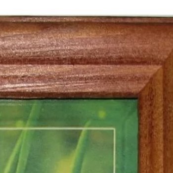 Рамка дерево 18x24 1702 темный орех Зебра (25)