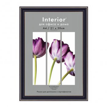 Рамка пластик 21x30 Interior Office 20мм 289/209 черный (1/25)