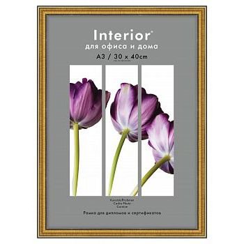Рамка пластик 30x40 Interior Office 20мм 286/296 золото (1/15)