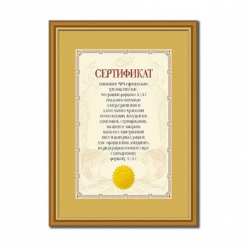 Рамка пластик 21x29,7 Мирам 636411-А4 золото тонкий с внутренним кантом (12)