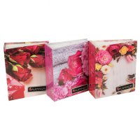 Фотоальбом 100 фото 10*15 PLATINUM Соцветие в ассортименте (1/24)