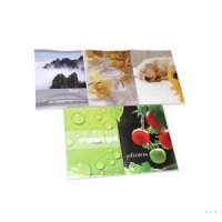 Фотоальбом Ф 36 10*15 в ассортименте (24/96)