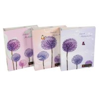 Фотоальбом 200 фото 10*15 PLATINUM Одуванчики в ассортименте (1/12)