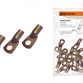 Наконечник ТМ  70-10-13 TDM (25)