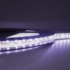 Лента диодная 12В IP20 9.6Вт/м 6500К 2835 120LED/м 5м SWG