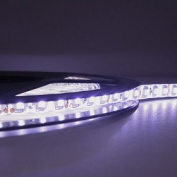 Лента диодная 12В IP20 9.6Вт/м 6500К 2835 120LED/м 5м SWG