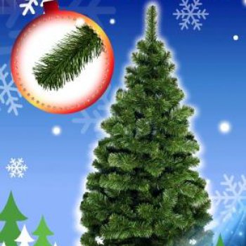 Ёлка Уральская 250 см, 511 веток