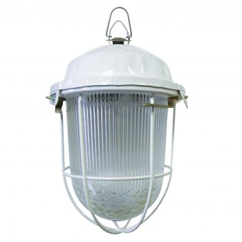 Светильник промышленный подвесной НСП 02-100-002.01 У2 (с решеткой, стекло, крюк) TDM (5)