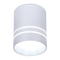 Накладной светодиодный точечный светильник TN241 SL/S серебро/песок LED 4200K 12W D80*100