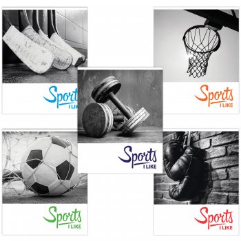 Тетрадь 48л. А5 клетка Brauberg  СПОРТ обложка картон ассорти (10/20)