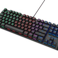Клавиатура Ritmix игровая 500 Antagonist USB многоцветная подсветка кнопок и символов черный (1/20)
