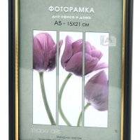 Рамка пластик 21x30 Interior Office 13мм 589 черный (1/25)