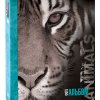 Фотоальбом 100 фото 10*15 Image Art Тигр 265 (1/24)