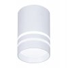 Накладной светодиодный точечный светильник TN235 WH/S белый/песок LED 4200K 5W D60*100