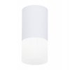 Накладной светодиодный точечный светильник TN231 WH/S белый/песок LED 4200K 7W D70*150