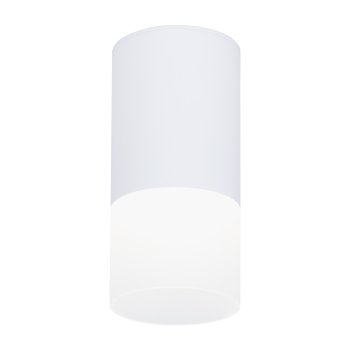 Накладной светодиодный точечный светильник TN231 WH/S белый/песок LED 4200K 7W D70*150
