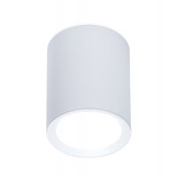 Накладной точечный светильник TN215 WH/S белый/песок GU5.3 D56*70