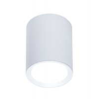 Накладной точечный светильник TN215 WH/S белый/песок GU5.3 D56*70