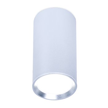 TN219 SL/S серебро/песок GU5.3 D56*100