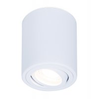 Накладной поворотный точечный светильник TN225 WH белый GU5.3 D80*100