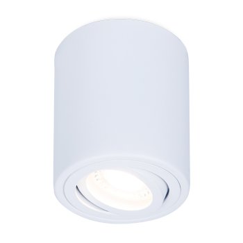 Накладной поворотный точечный светильник TN225 WH белый GU5.3 D80*100