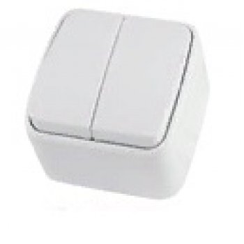 Выключатель TDM Дача 2кл. белый (10/100)