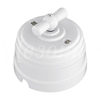 Выключатель пластиковый Усадьба 2ОП (четыре положения) белый (1)