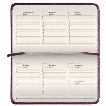 Еженедельник недатированный  А6 Brauberg "Alligator" 95*155мм 72л. фактурная кожа кремовый блок коричневый (1)