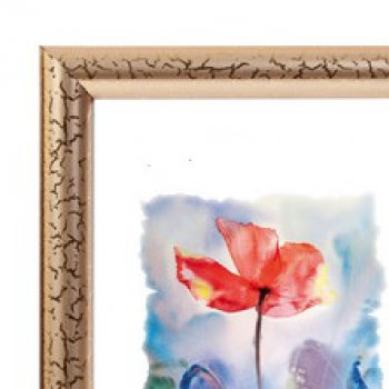 Рамка пластик 20x20 Зебра 1,7мм 3872 золото (25)