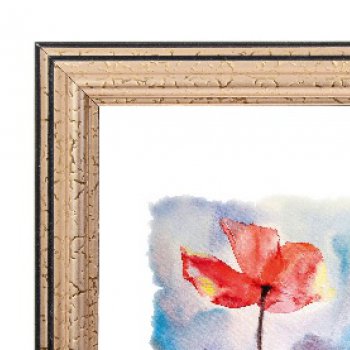 Рамка пластик 20x20 Зебра 1,7мм 3904 золото (25)