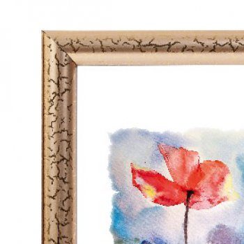 Рамка пластик 20x25 Зебра 1,7мм 3872 золото (25)