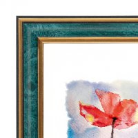 Рамка пластик 20x25 Зебра 1,7мм 3899 малахит (25)