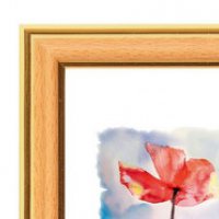 Фоторамка 20*25 Зебра 1,7мм 3922 желт/зол. (1/25)